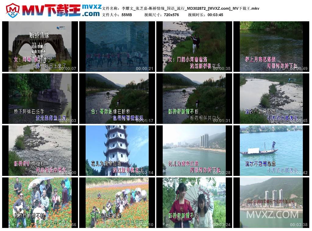 李耀文_张芝嘉-断桥情缘_国语_流行_MD302872